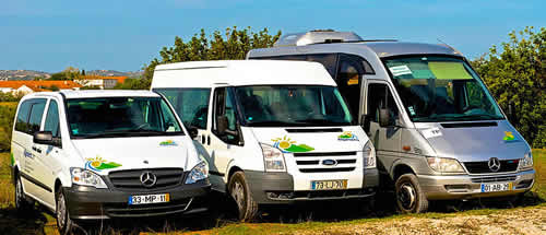 Carrinhas Ford e minibuses Mercedes para transfers privados